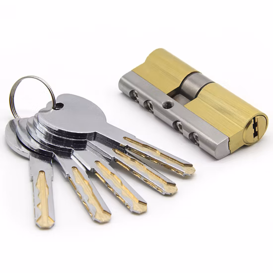 Brass Double Open Safe Lock Cylinder Normal or Computer Keys