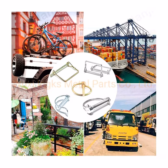 Zincagem D em forma de fio duplo redondo com eixo de fio